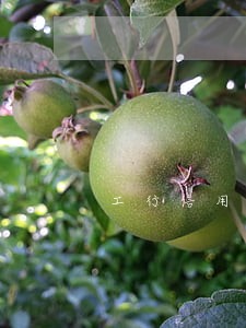 工行信用卡 逾期 征信 工行信用卡 逾期 征信